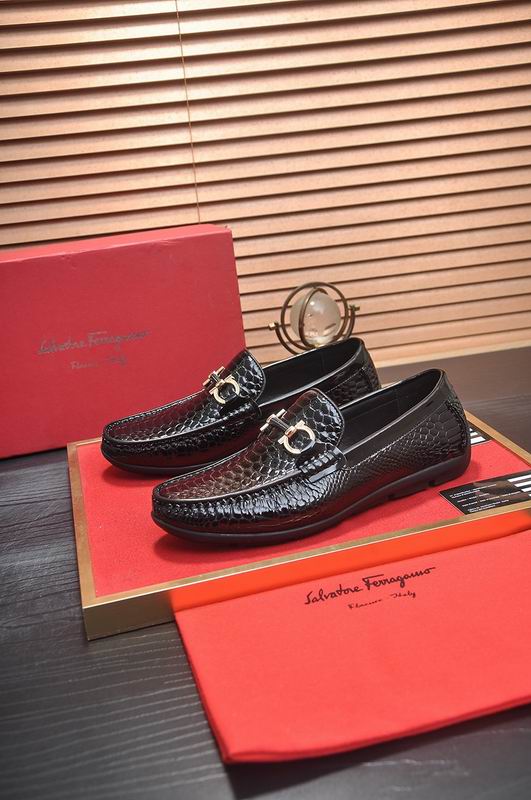 Ferragamo sz38-44 hnh0803